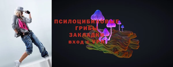 тгк Горнозаводск