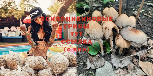герыч Горняк