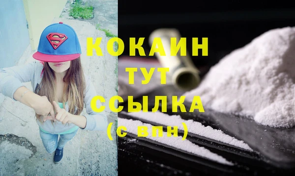 тгк Горнозаводск