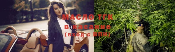 тгк Горнозаводск