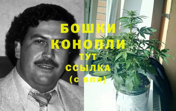 тгк Горнозаводск