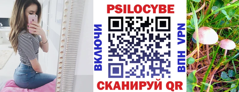 Галлюциногенные грибы мицелий  Себеж 