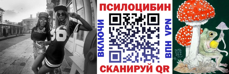 Галлюциногенные грибы Psilocybe Себеж